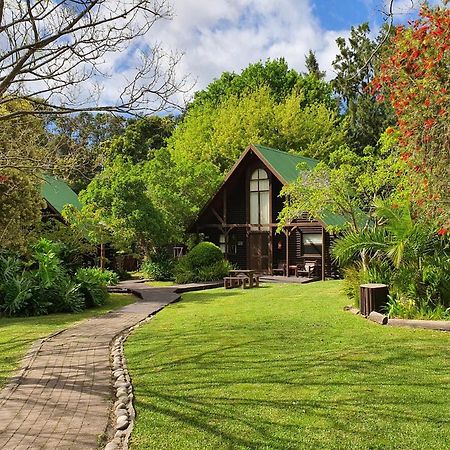 Tsitsikamma Lodge & Spa Stormsrivier Ngoại thất bức ảnh