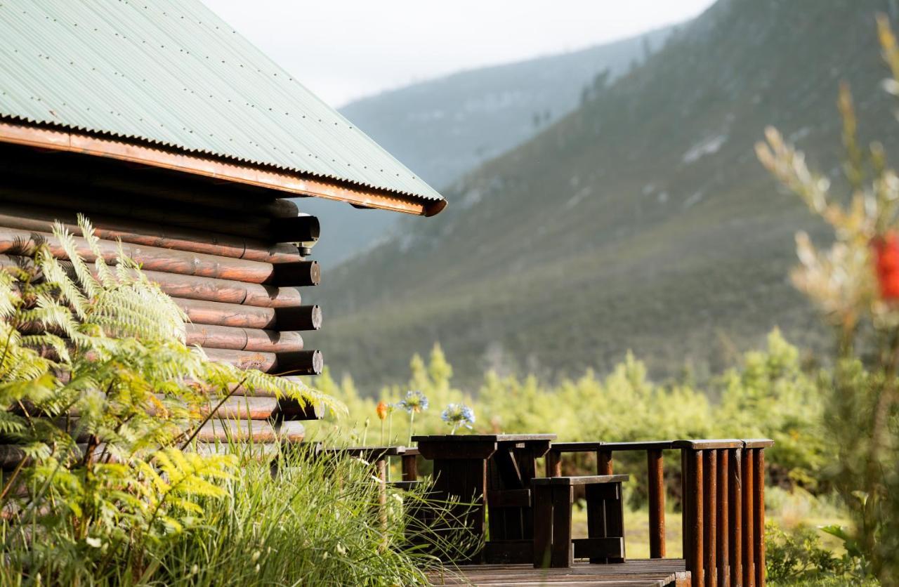 Tsitsikamma Lodge & Spa Stormsrivier Ngoại thất bức ảnh