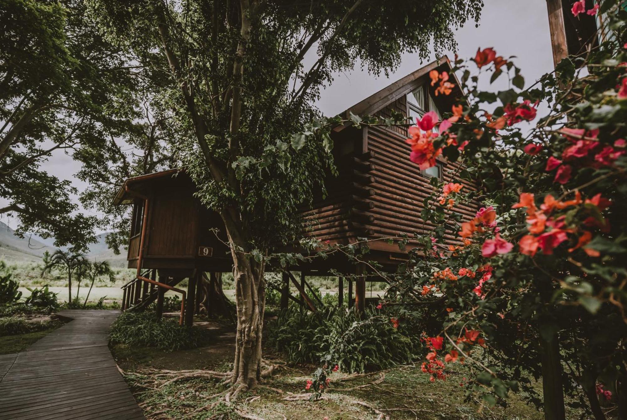 Tsitsikamma Lodge & Spa Stormsrivier Ngoại thất bức ảnh