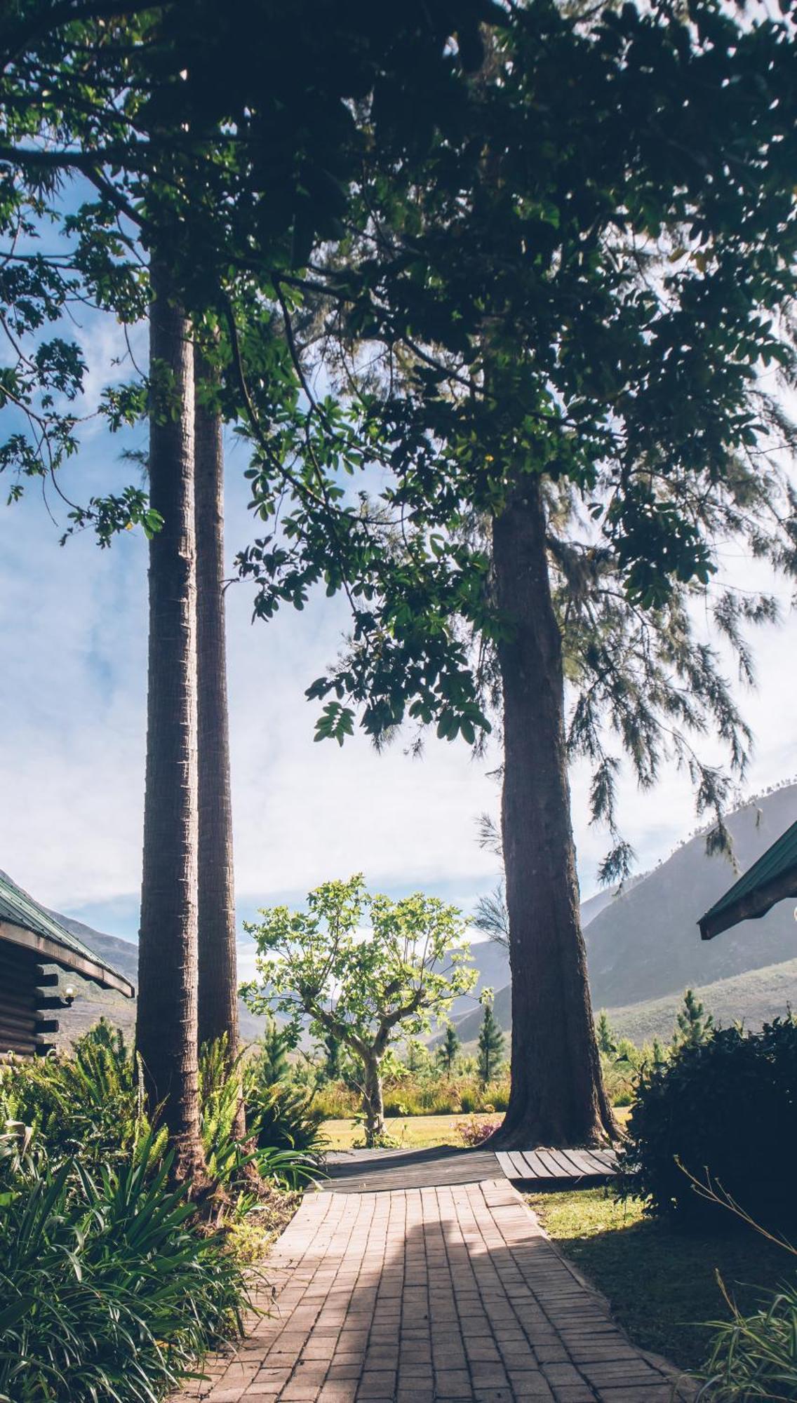 Tsitsikamma Lodge & Spa Stormsrivier Ngoại thất bức ảnh
